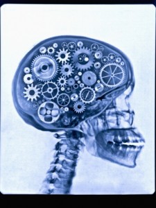 thom-lang-x-ray-of-skull-with-gears_i-G-61-6163-F1MG100Z